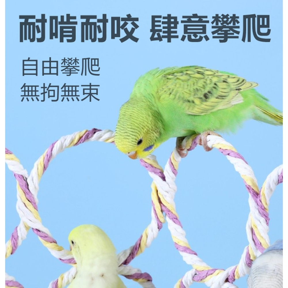 [蹦蹦鳥] 鸚鵡吊環攀爬網 爬行網玩具 啃咬編織網 9環 / 16環-細節圖3