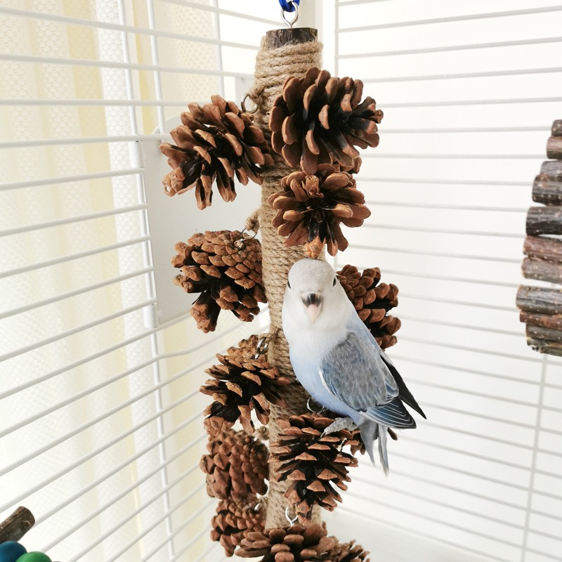 [蹦蹦鳥] 松果啃咬串 中小型鸚鵡 虎皮 牡丹 和尚 松球 鸚鵡站架爬梯 鹦鹉玩具 (大/小)-細節圖2