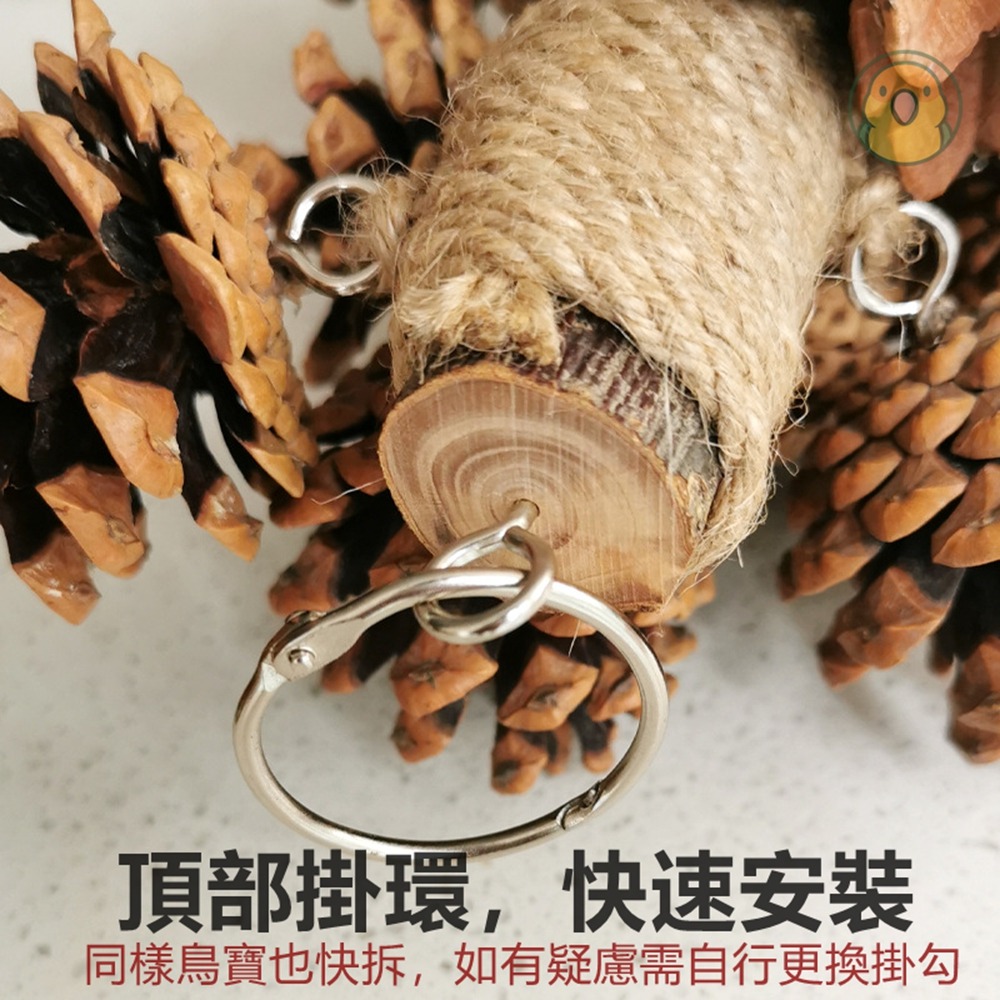 [蹦蹦鳥] 松果啃咬串 中小型鸚鵡 虎皮 牡丹 和尚 松球 鸚鵡站架爬梯 鹦鹉玩具 (大/小)-細節圖4