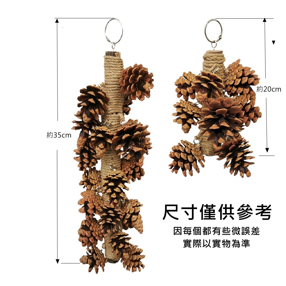 [蹦蹦鳥] 松果啃咬串 中小型鸚鵡 虎皮 牡丹 和尚 松球 鸚鵡站架爬梯 鹦鹉玩具 (大/小)-細節圖5