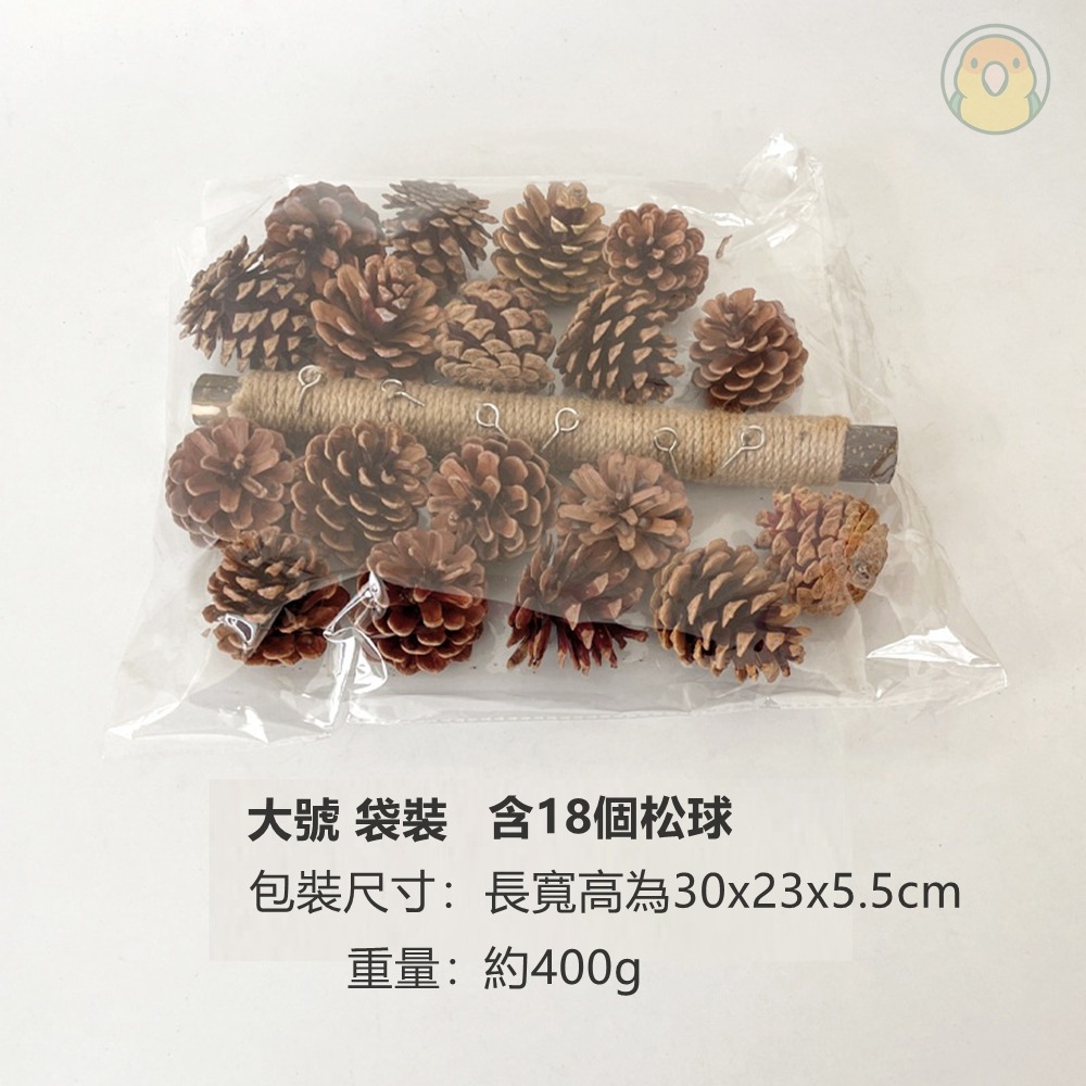 [蹦蹦鳥] 松果啃咬串 中小型鸚鵡 虎皮 牡丹 和尚 松球 鸚鵡站架爬梯 鹦鹉玩具 (大/小)-細節圖6