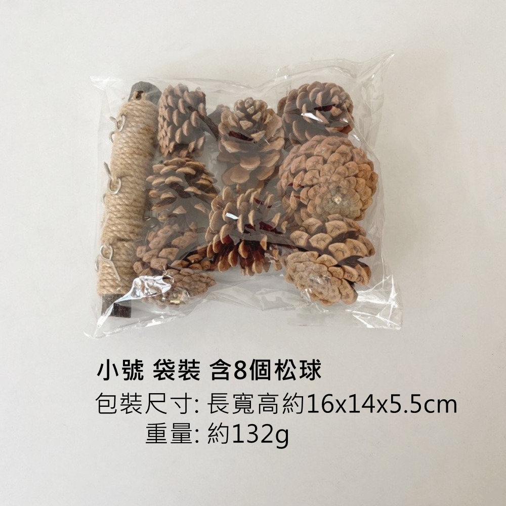 [蹦蹦鳥] 松果啃咬串 中小型鸚鵡 虎皮 牡丹 和尚 松球 鸚鵡站架爬梯 鹦鹉玩具 (大/小)-細節圖7