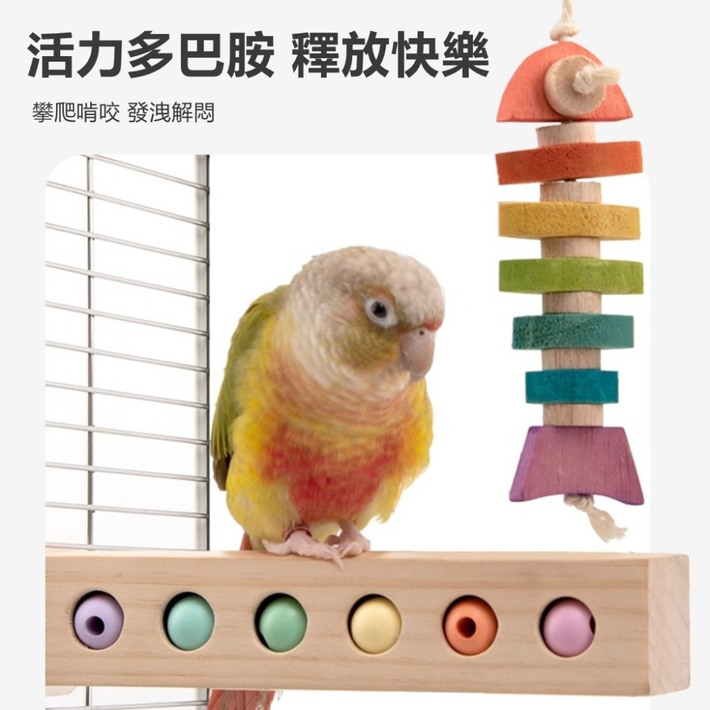 [蹦蹦鳥] 鸚鵡啃咬玩具 彩虹小魚 適合小型鸚鵡-細節圖2