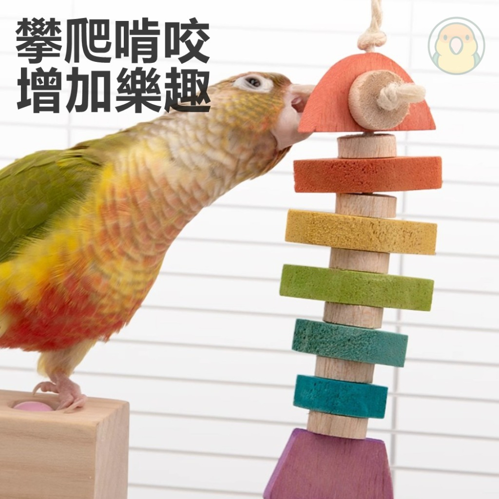 [蹦蹦鳥] 鸚鵡啃咬玩具 彩虹小魚 適合小型鸚鵡-細節圖3