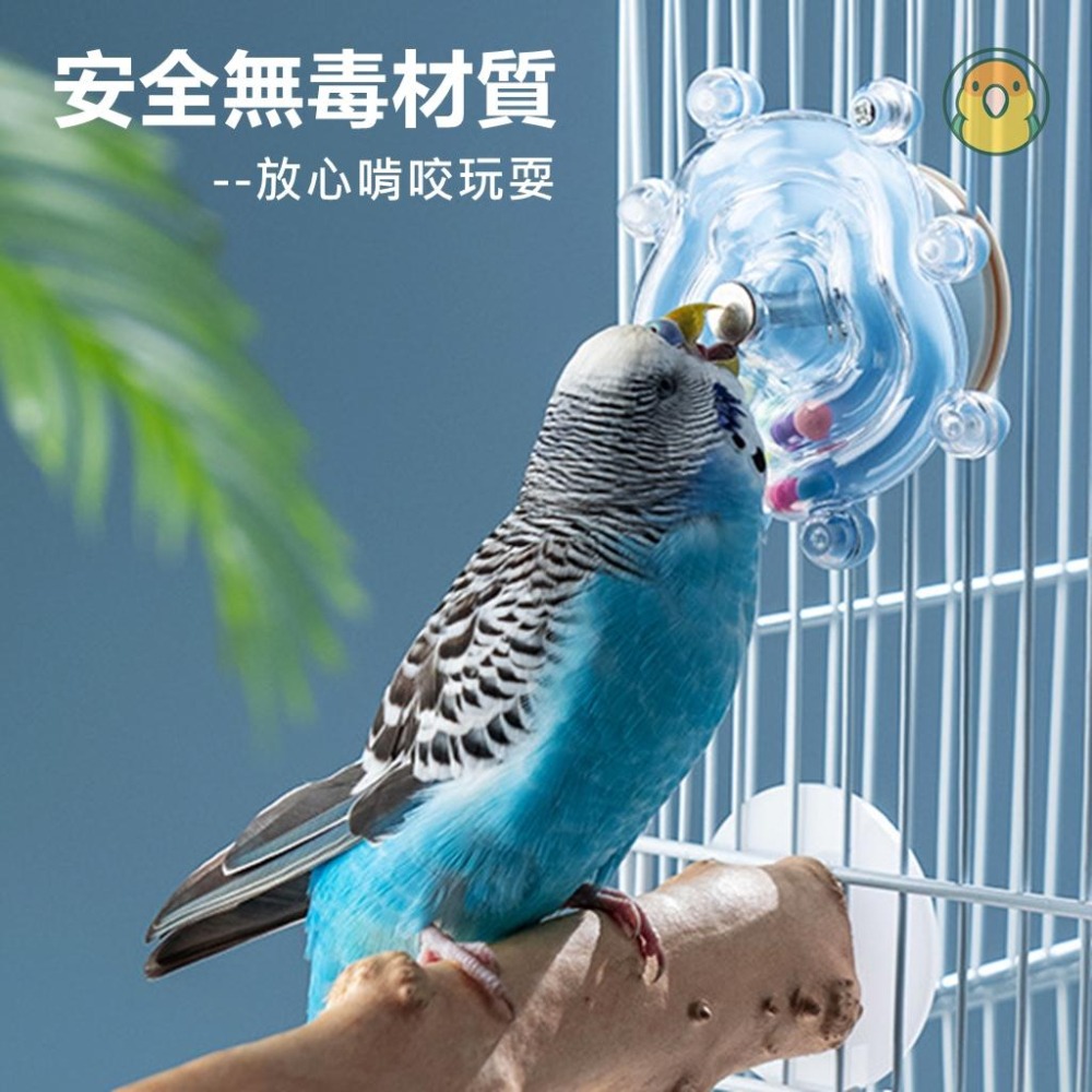 [蹦蹦鳥] 海星轉轉樂 鸚鵡啃咬解悶益智玩具樂虎皮玄鳳 轉盤 轉輪鳥玩具 鳥籠配件-細節圖3