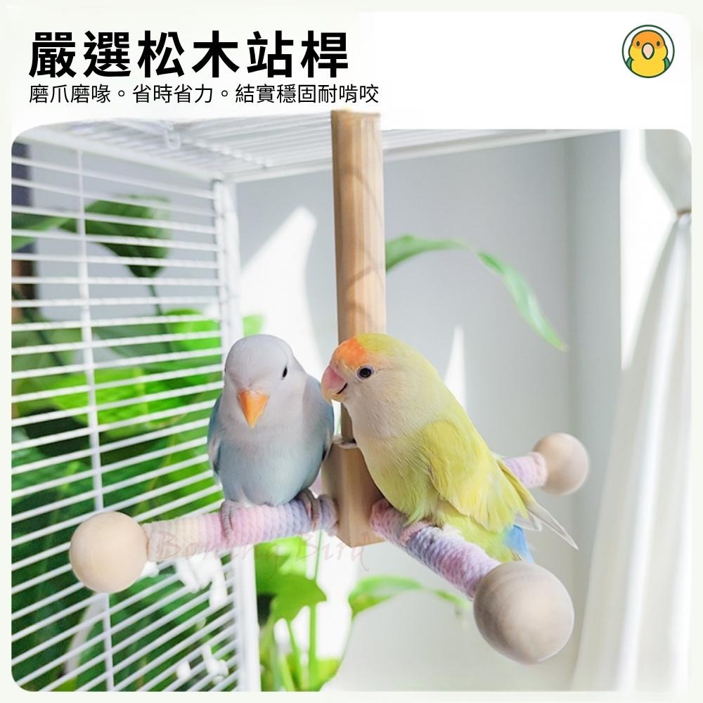 [蹦蹦鳥-台灣現貨] 鸚鵡彩虹旋轉風車 站棍/玩具 適合小鸚、牡丹、玄鳳 可站立、倒掛、側掛-細節圖2