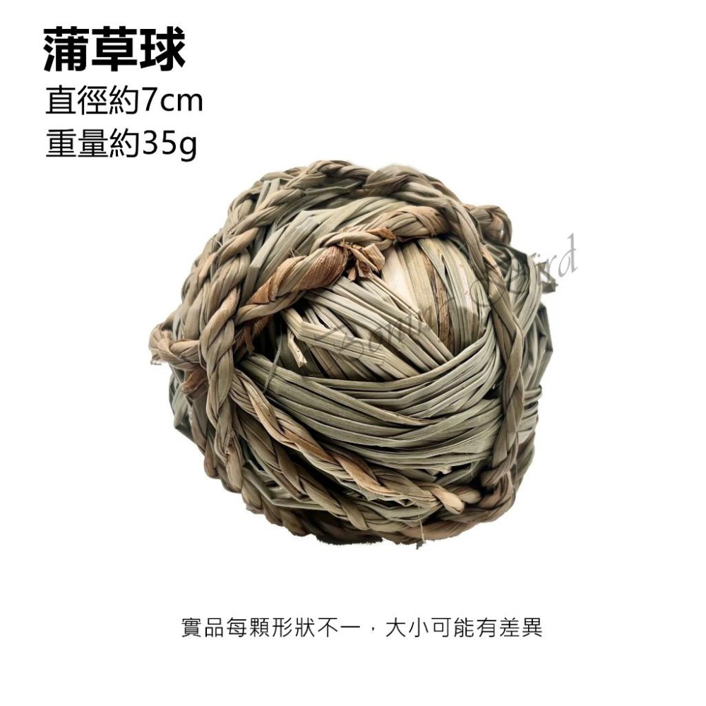[蹦蹦鳥] 寵物啃咬編織草球 水草球/蒲草球/蘆葦草球/水葫蘆球  鸚鵡,兔子,倉鼠,龍貓,天竺鼠 啃咬磨牙解悶玩具-細節圖4