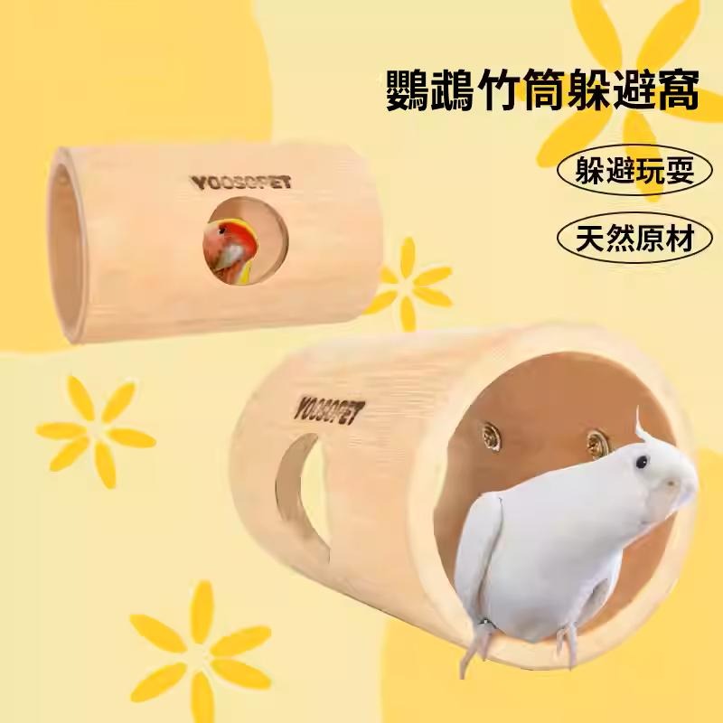 [蹦蹦鳥-台灣現貨] 天然竹筒 攀爬樹洞鳥窩 躲避玩具 隧道解悶啃咬 虎皮牡丹玄鳳-細節圖2