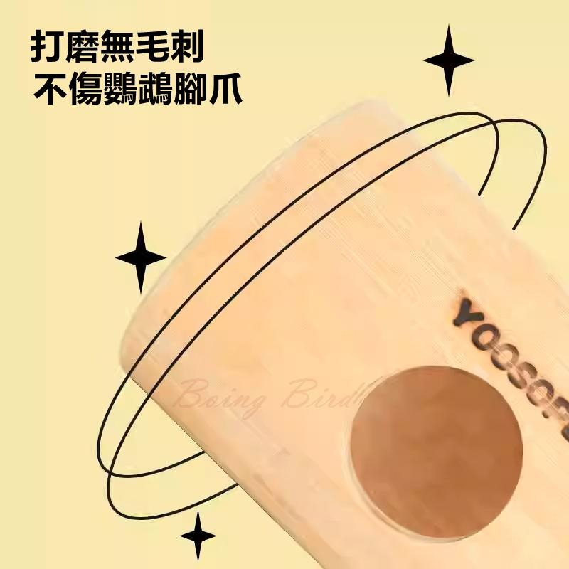 [蹦蹦鳥-台灣現貨] 天然竹筒 攀爬樹洞鳥窩 躲避玩具 隧道解悶啃咬 虎皮牡丹玄鳳-細節圖3