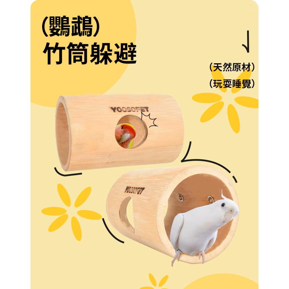 [蹦蹦鳥-台灣現貨] 天然竹筒 攀爬樹洞鳥窩 躲避玩具 隧道解悶啃咬 虎皮牡丹玄鳳-細節圖4
