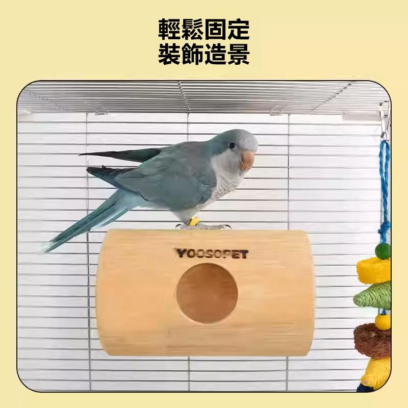 [蹦蹦鳥-台灣現貨] 天然竹筒 攀爬樹洞鳥窩 躲避玩具 隧道解悶啃咬 虎皮牡丹玄鳳-細節圖5