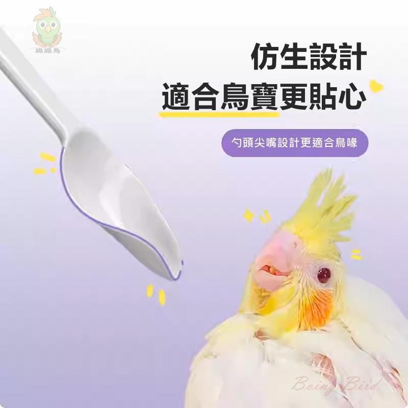 [蹦蹦鳥] 鸚鵡餵奶勺 幼鳥奶粉餵食勺 手養鳥湯匙 玄鳳/虎皮/牡丹/小鸚鵡-細節圖3