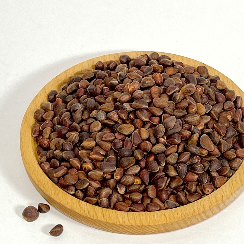[蹦蹦鳥] 帶殼松子 80g / 300g 鸚鵡零食 訓練獎勵 中型鸚鵡 松鼠 倉鼠-細節圖4