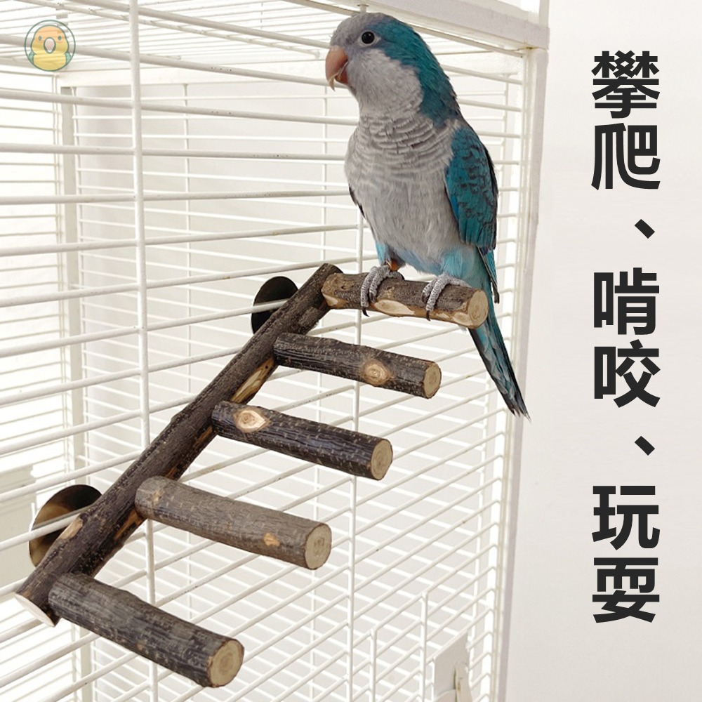 [蹦蹦鳥] 實木鸚鵡攀爬梯 4階/5階 中小型鸚鵡玩具 站立攀爬啃咬磨牙 雲梯 木梯 鳥籠配件 鸚鵡用品 寵物鳥玩具-細節圖3