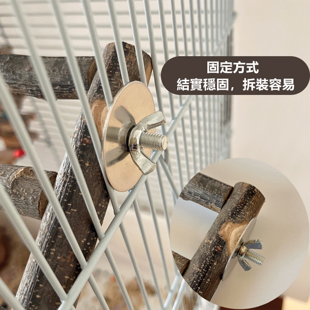 [蹦蹦鳥] 實木鸚鵡攀爬梯 4階/5階 中小型鸚鵡玩具 站立攀爬啃咬磨牙 雲梯 木梯 鳥籠配件 鸚鵡用品 寵物鳥玩具-細節圖4