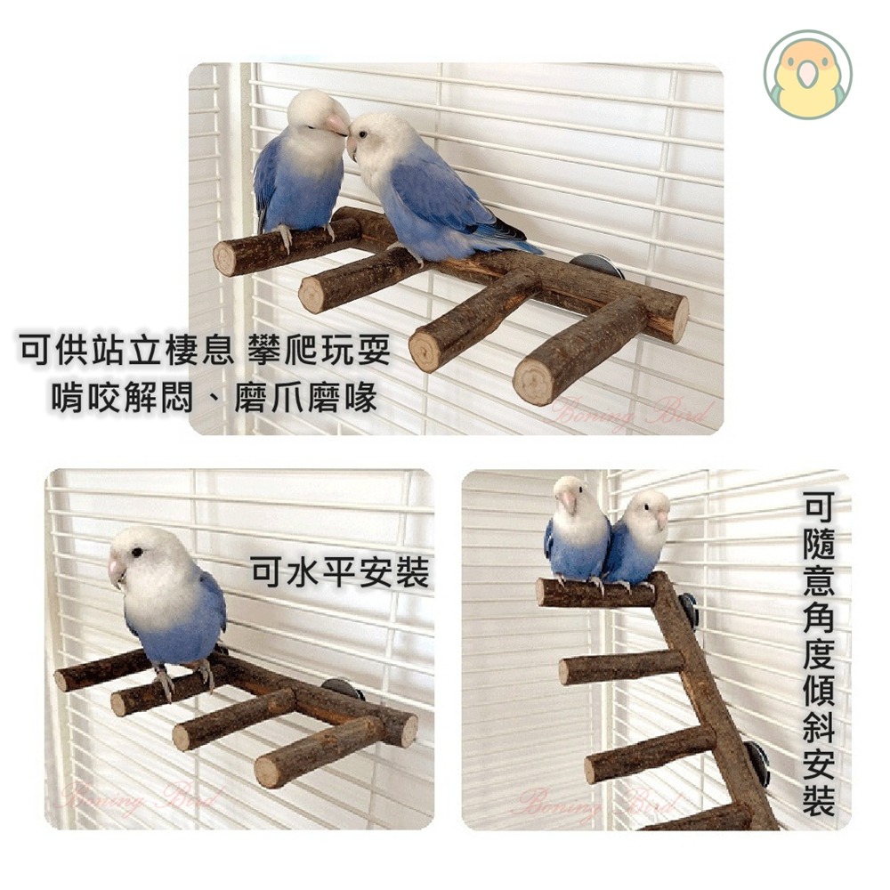 [蹦蹦鳥] 實木鸚鵡攀爬梯 4階/5階 中小型鸚鵡玩具 站立攀爬啃咬磨牙 雲梯 木梯 鳥籠配件 鸚鵡用品 寵物鳥玩具-細節圖5