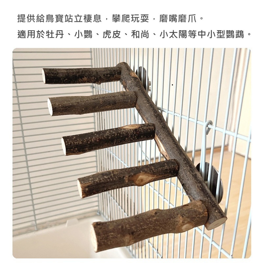 [蹦蹦鳥] 實木鸚鵡攀爬梯 4階/5階 中小型鸚鵡玩具 站立攀爬啃咬磨牙 雲梯 木梯 鳥籠配件 鸚鵡用品 寵物鳥玩具-細節圖7