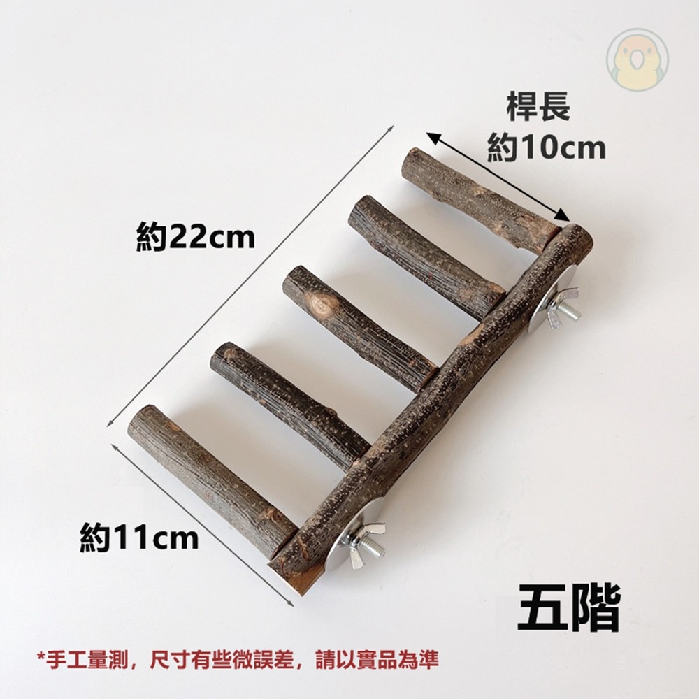 [蹦蹦鳥] 實木鸚鵡攀爬梯 4階/5階 中小型鸚鵡玩具 站立攀爬啃咬磨牙 雲梯 木梯 鳥籠配件 鸚鵡用品 寵物鳥玩具-規格圖7
