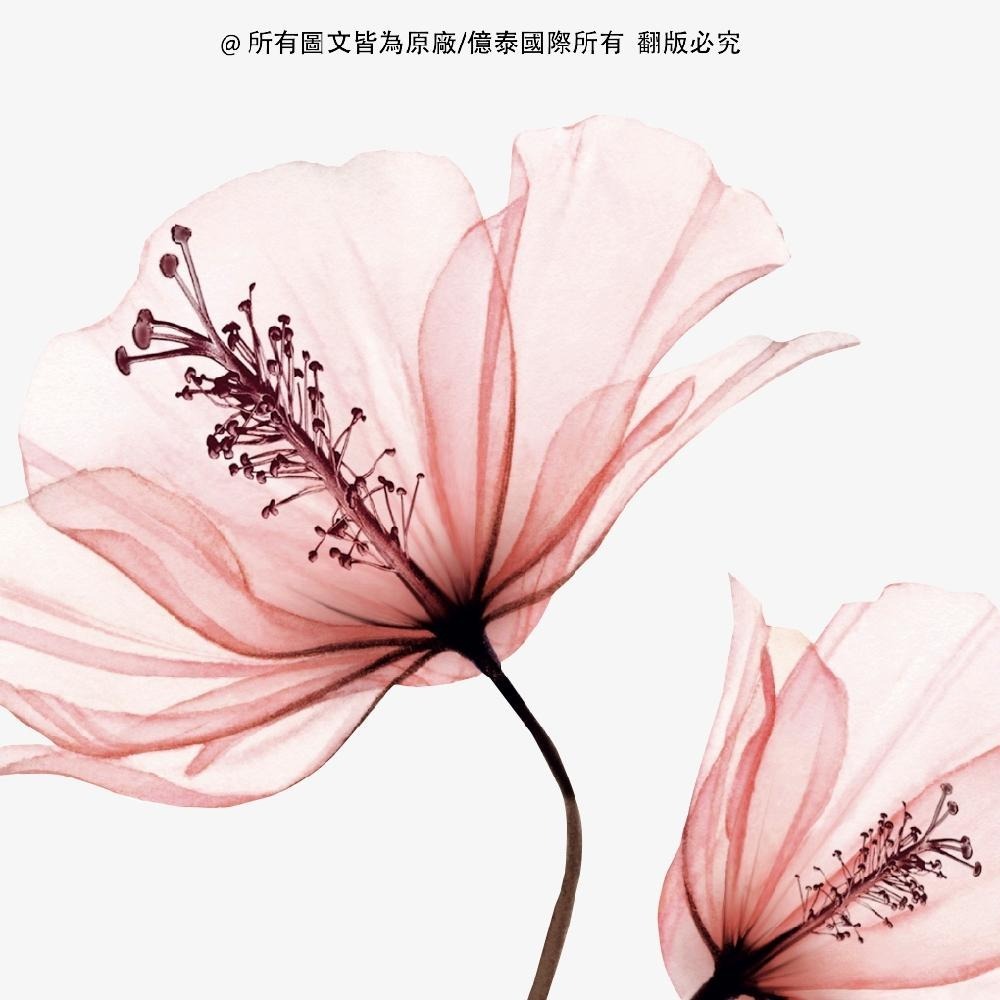 【MEDIHEAL美迪惠爾】 膠原彈性緊緻保濕導入精華面膜 10入 植物膠原蛋白・淡化細紋・緊緻保濕-細節圖9