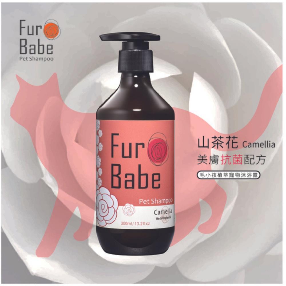 【送洗澡刷】FurBabe植粹寵物沐浴乳 天然草本配方寵物洗毛精 寵物洗澡 寵物洗劑沐浴精 狗狗貓咪洗澡 寵物美容用品-細節圖4