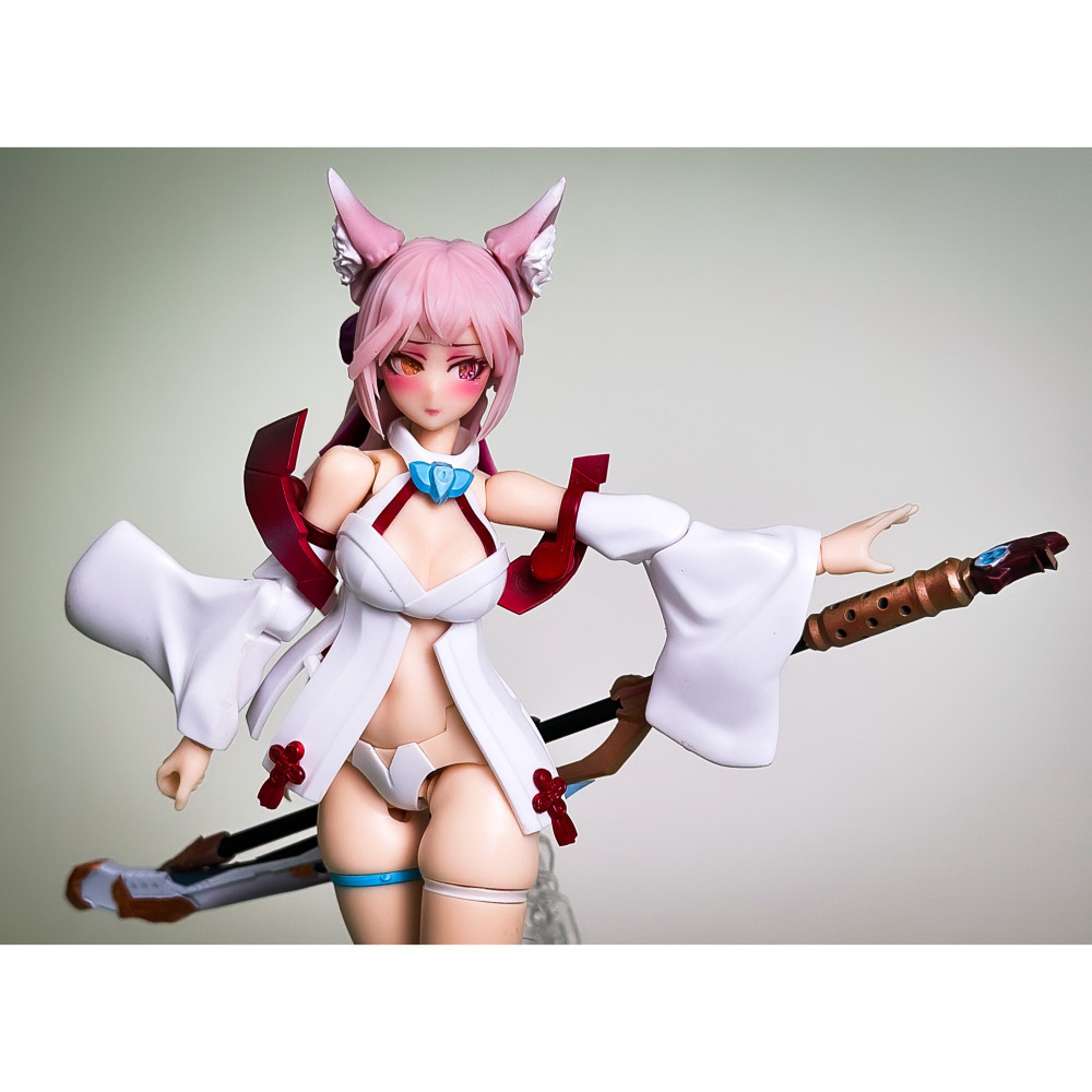 銀狐丸-細節圖2