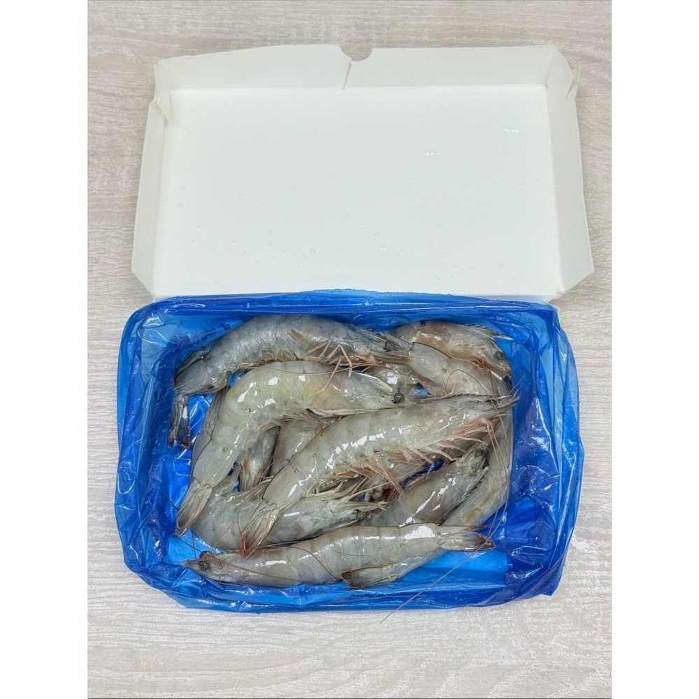發大財巨無霸大白蝦 600g 冷凍白蝦 大20/30 小30/40 兩種規格-細節圖6