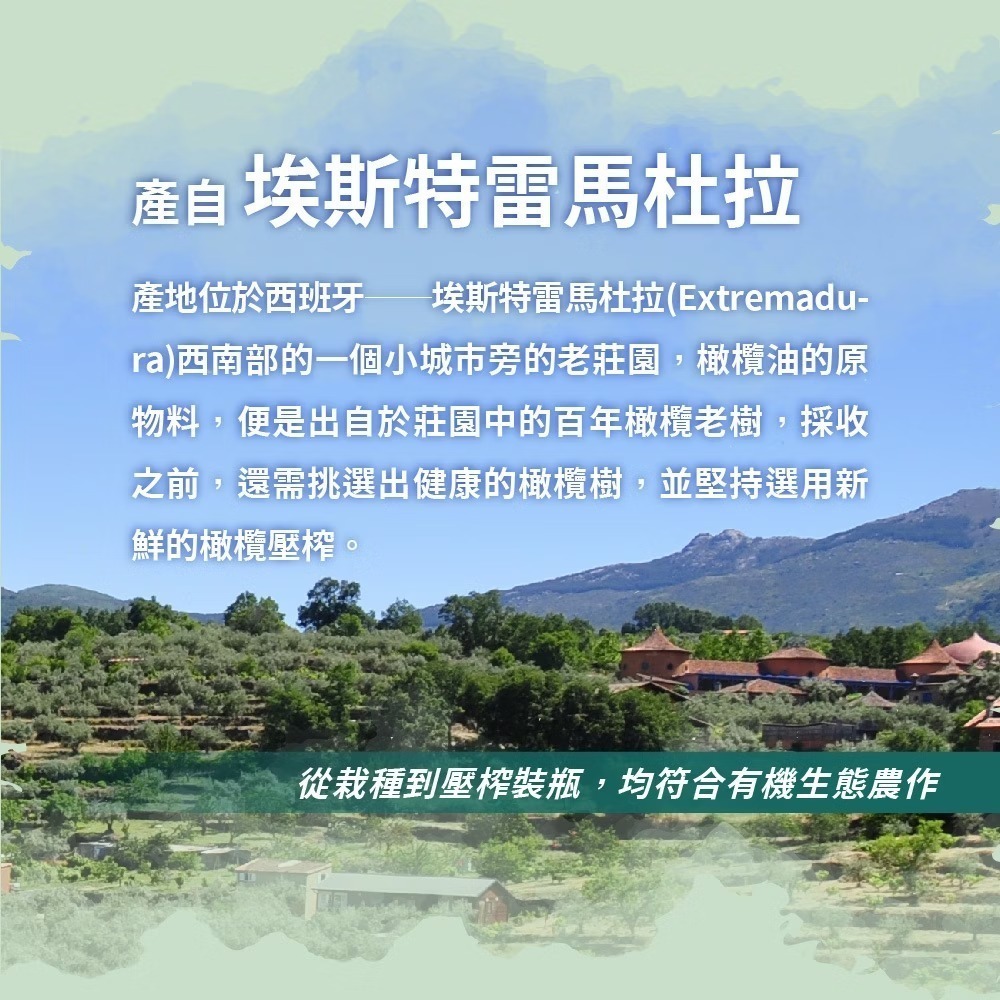 瑪伊娜 有機100%冷壓初榨特級純橄欖油 500ml-細節圖7
