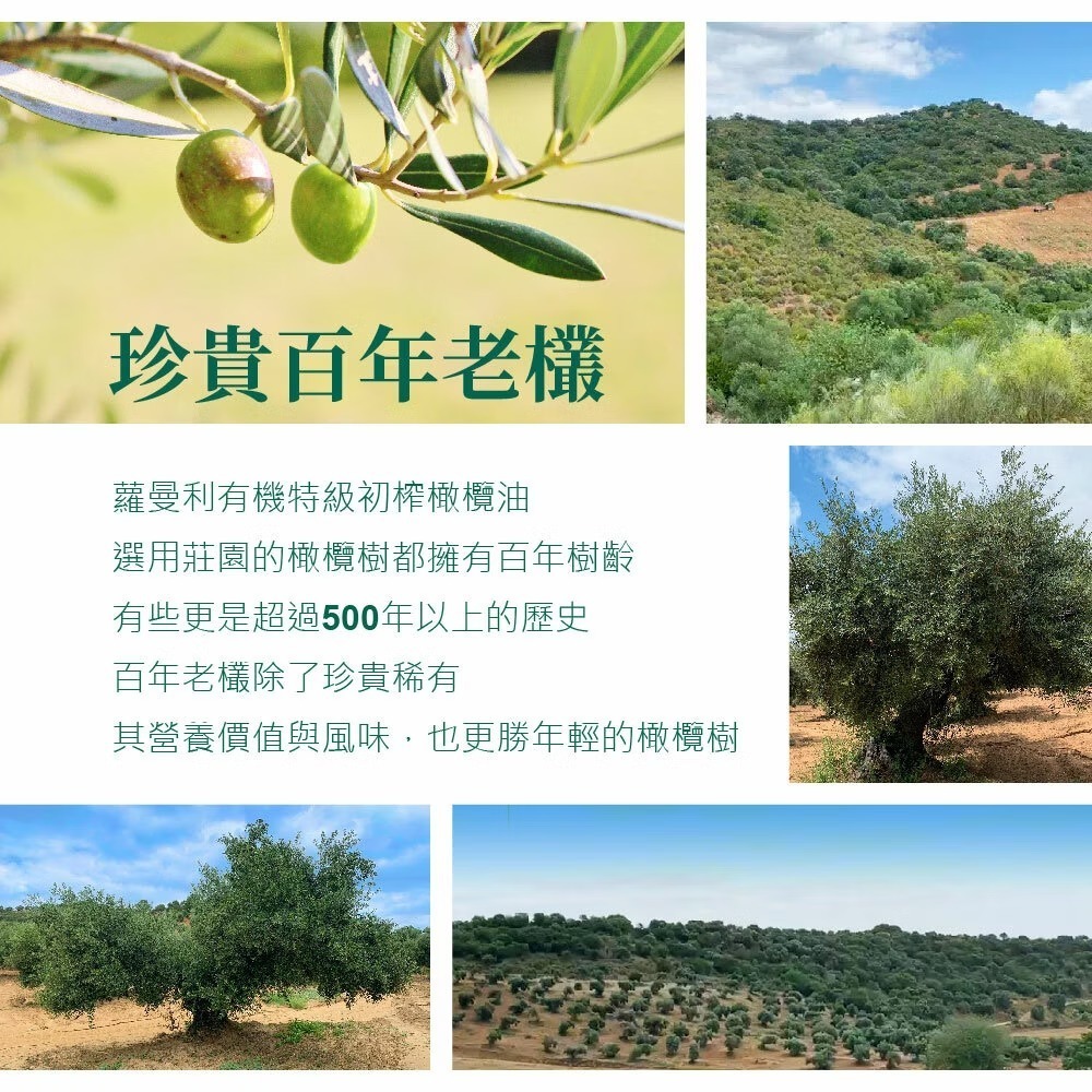 蘿曼利 有機冷壓特級100%橄欖油 750ml-細節圖4