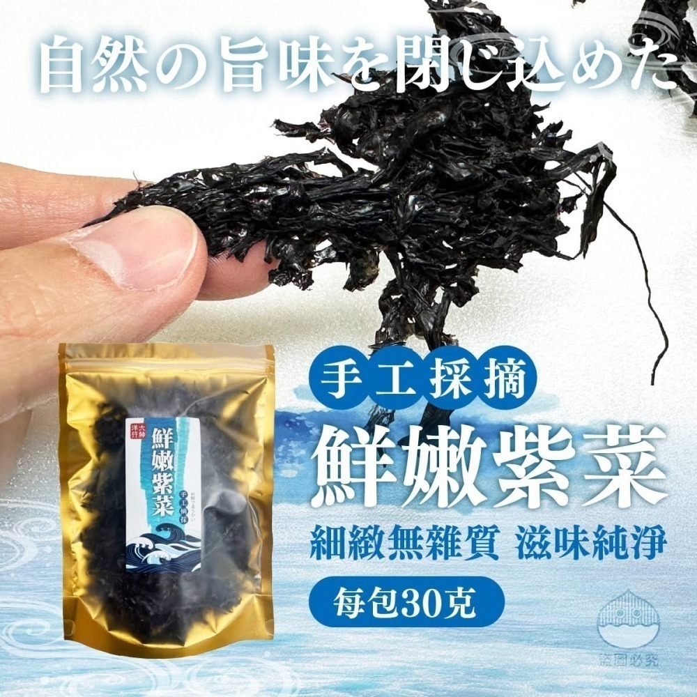 野生鮮嫩紫菜30g-細節圖4