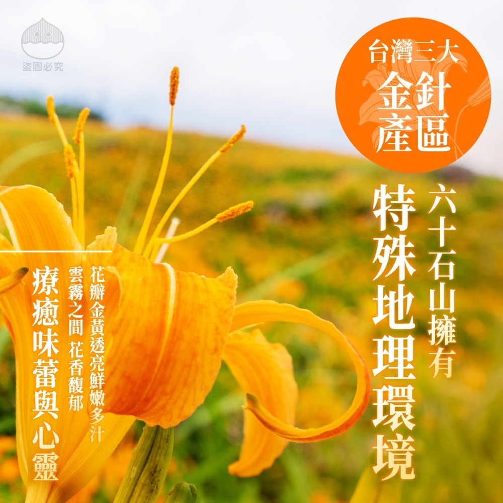 高冷金針30g-細節圖3