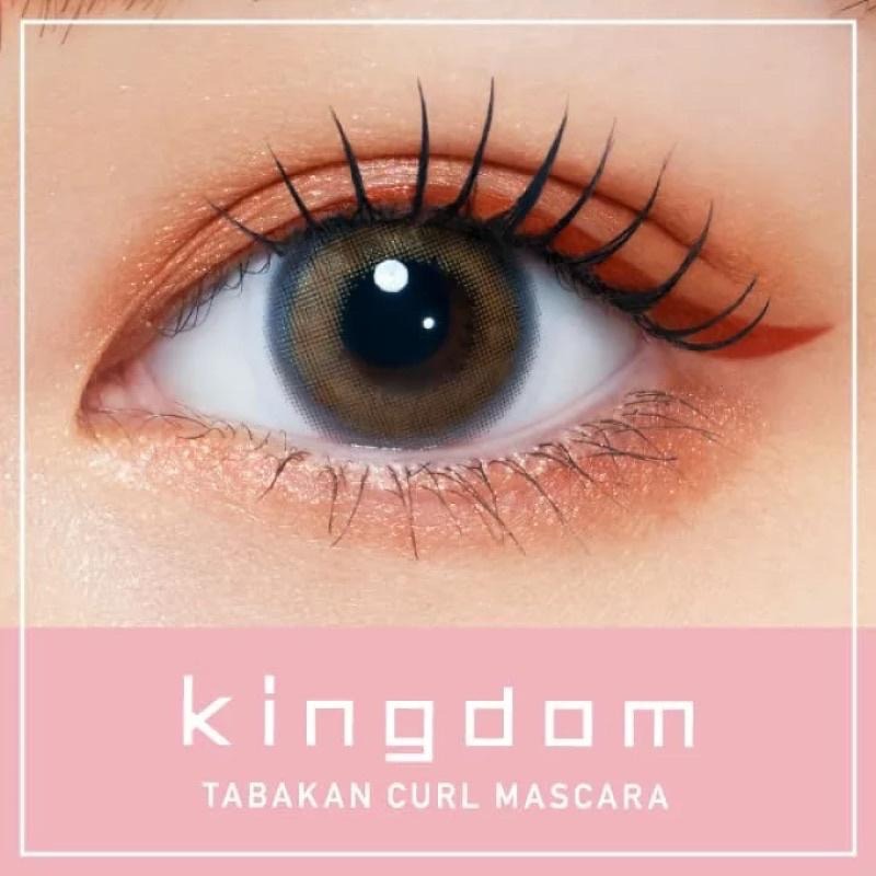 【在台現貨，當天寄出】🌻莉莉好物🌷  Kingdom 黑龍堂 捲翹束感睫毛膏 新款-細節圖6