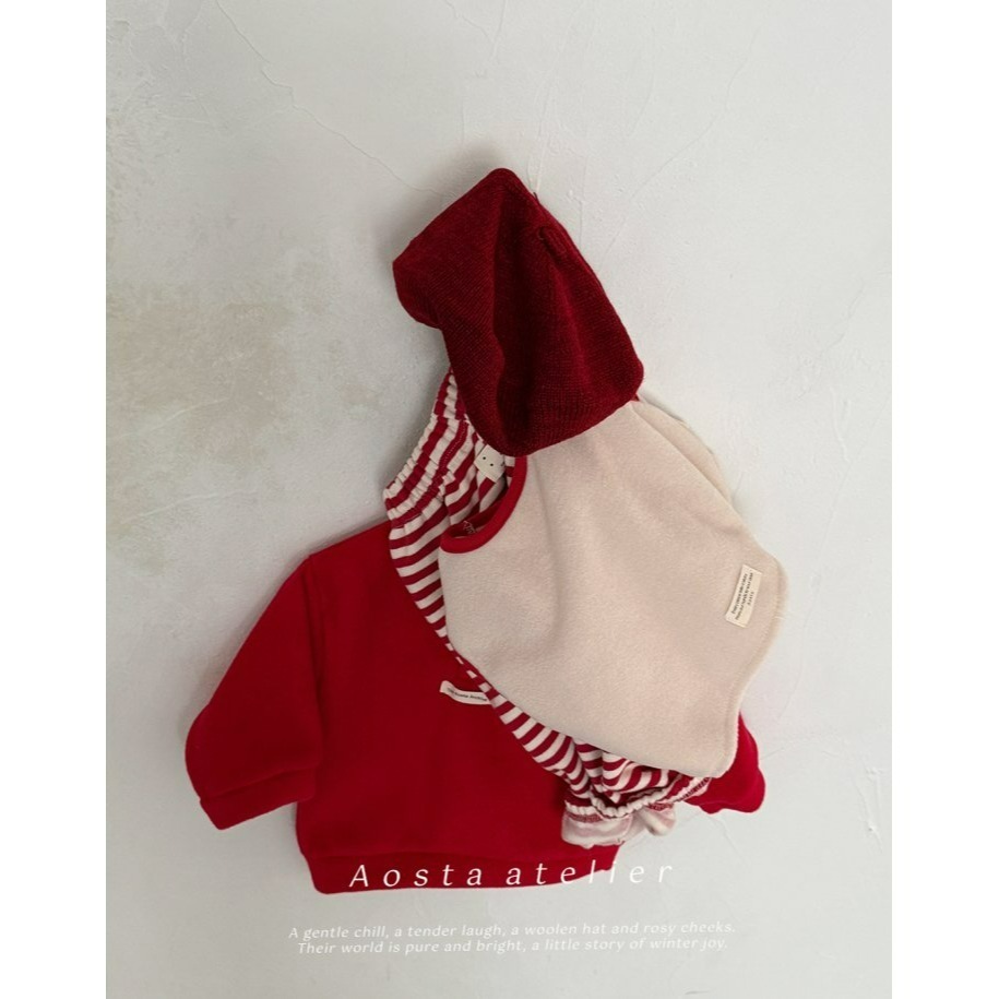 Aosta 背心 聖誕 아오스타 윈터베스트-細節圖3