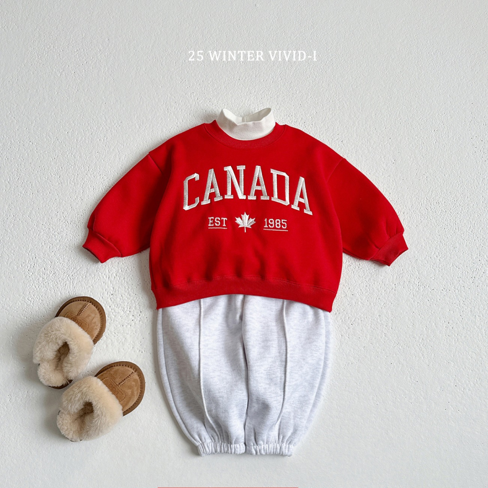 VIVID I 上衣 비비드아이 핀턱양기모조거-細節圖7