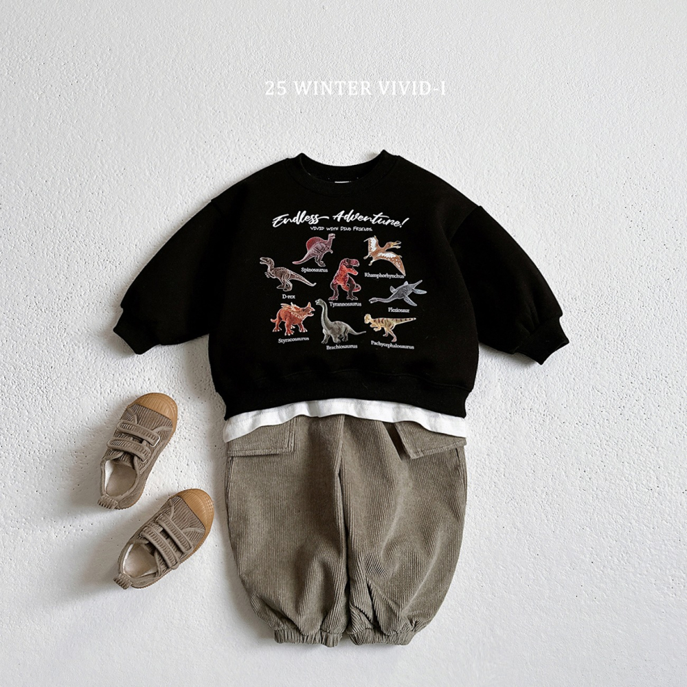 VIVID I 上衣 비비드아이 기모미니공룡맨투맨-細節圖3