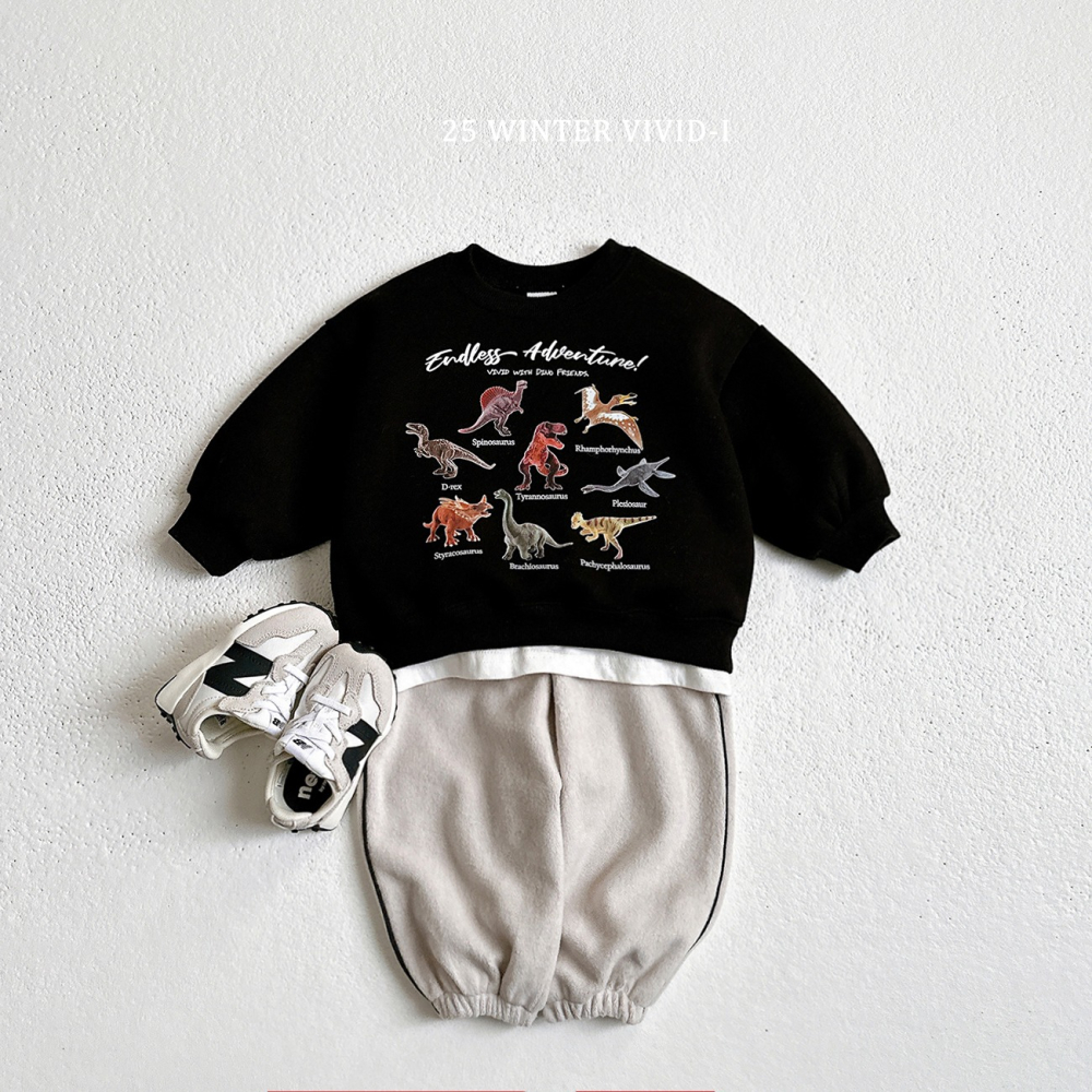 VIVID I 上衣 비비드아이 기모미니공룡맨투맨-細節圖4