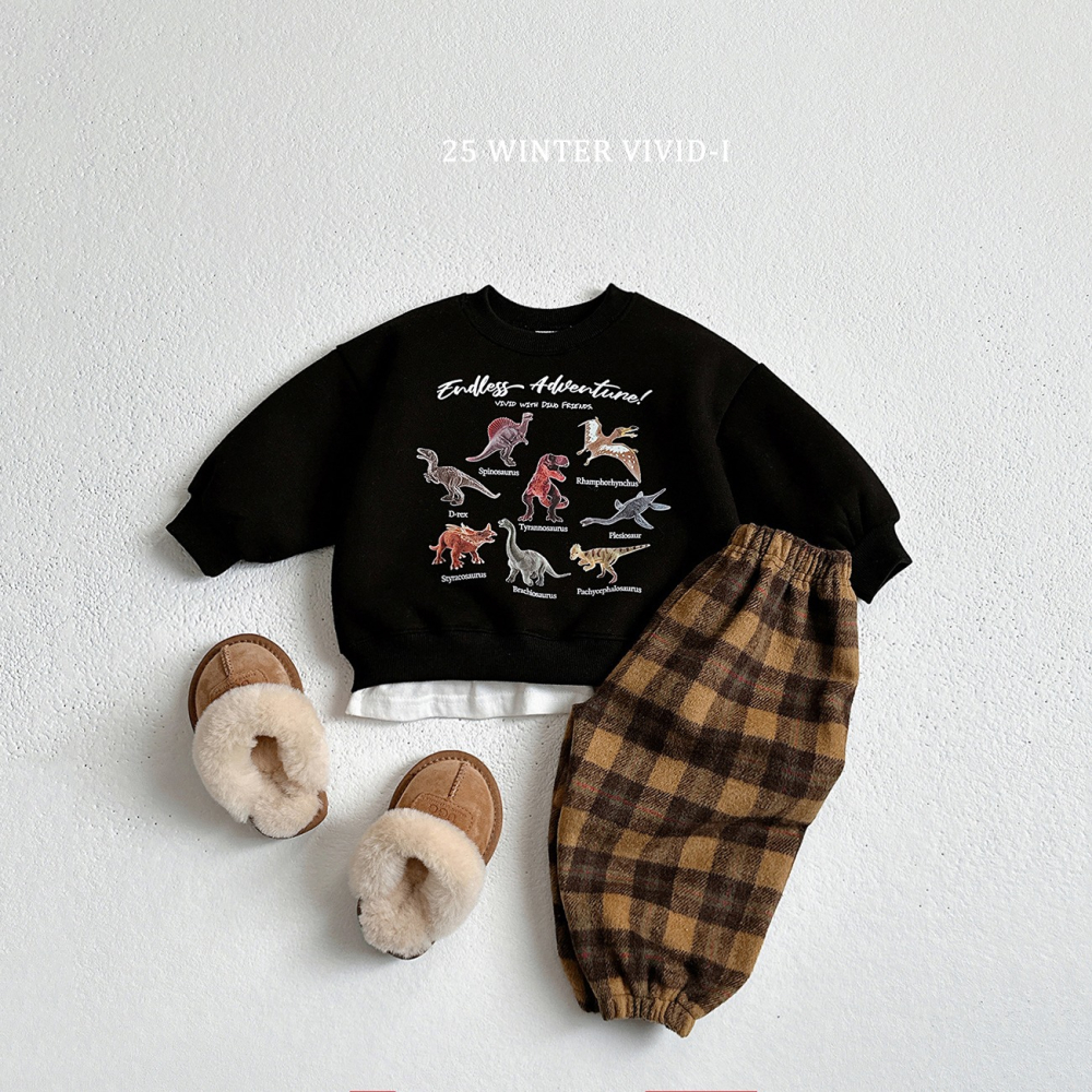 VIVID I 上衣 비비드아이 기모미니공룡맨투맨-細節圖5