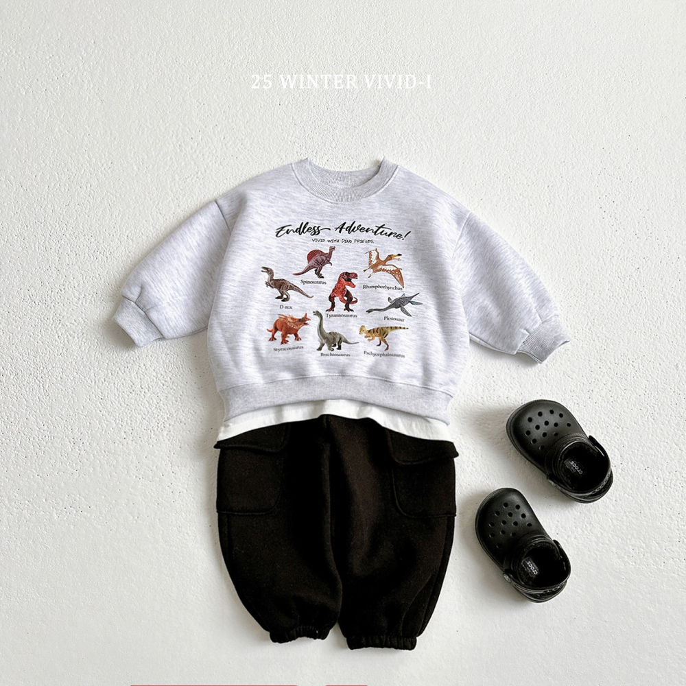 VIVID I 上衣 비비드아이 기모미니공룡맨투맨-細節圖6