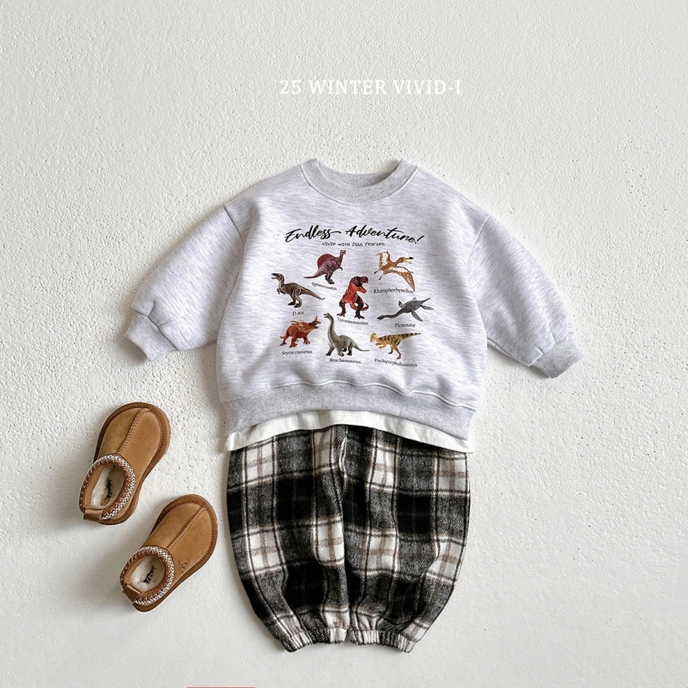 VIVID I 上衣 비비드아이 기모미니공룡맨투맨-細節圖7