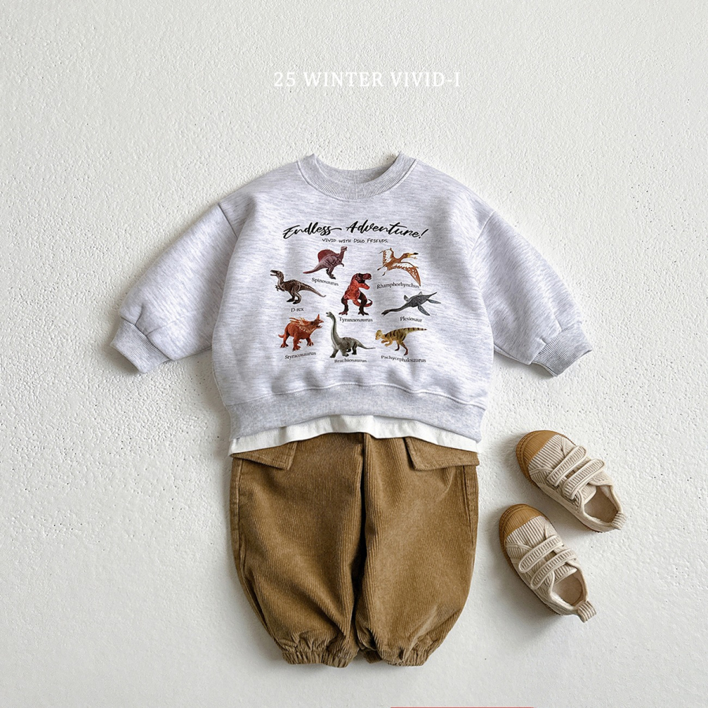 VIVID I 上衣 비비드아이 기모미니공룡맨투맨-細節圖8