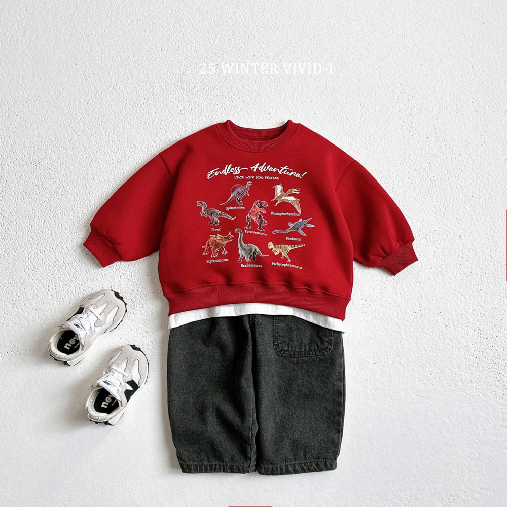 VIVID I 上衣 비비드아이 기모미니공룡맨투맨-細節圖9