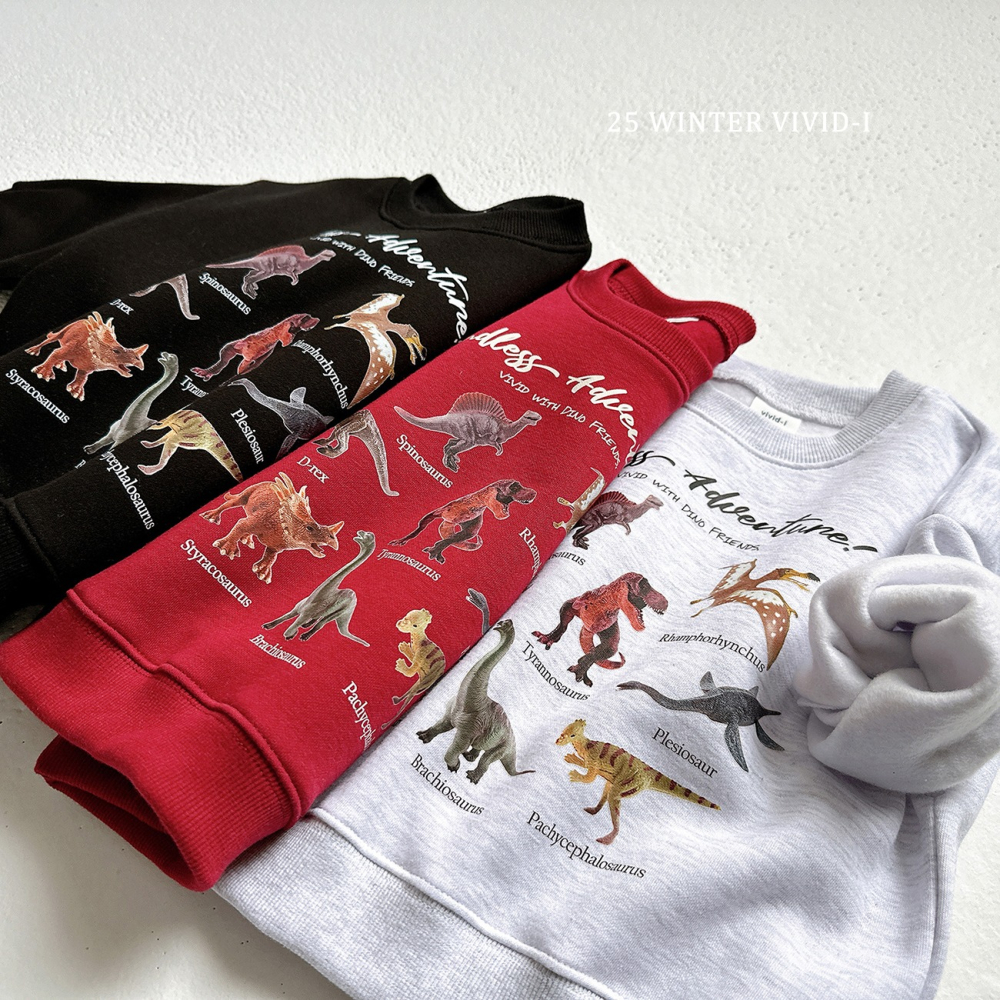 VIVID I 上衣 비비드아이 기모미니공룡맨투맨-細節圖11