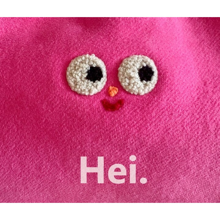 Hei 上衣 헤이 까꿍맨투맨-細節圖2