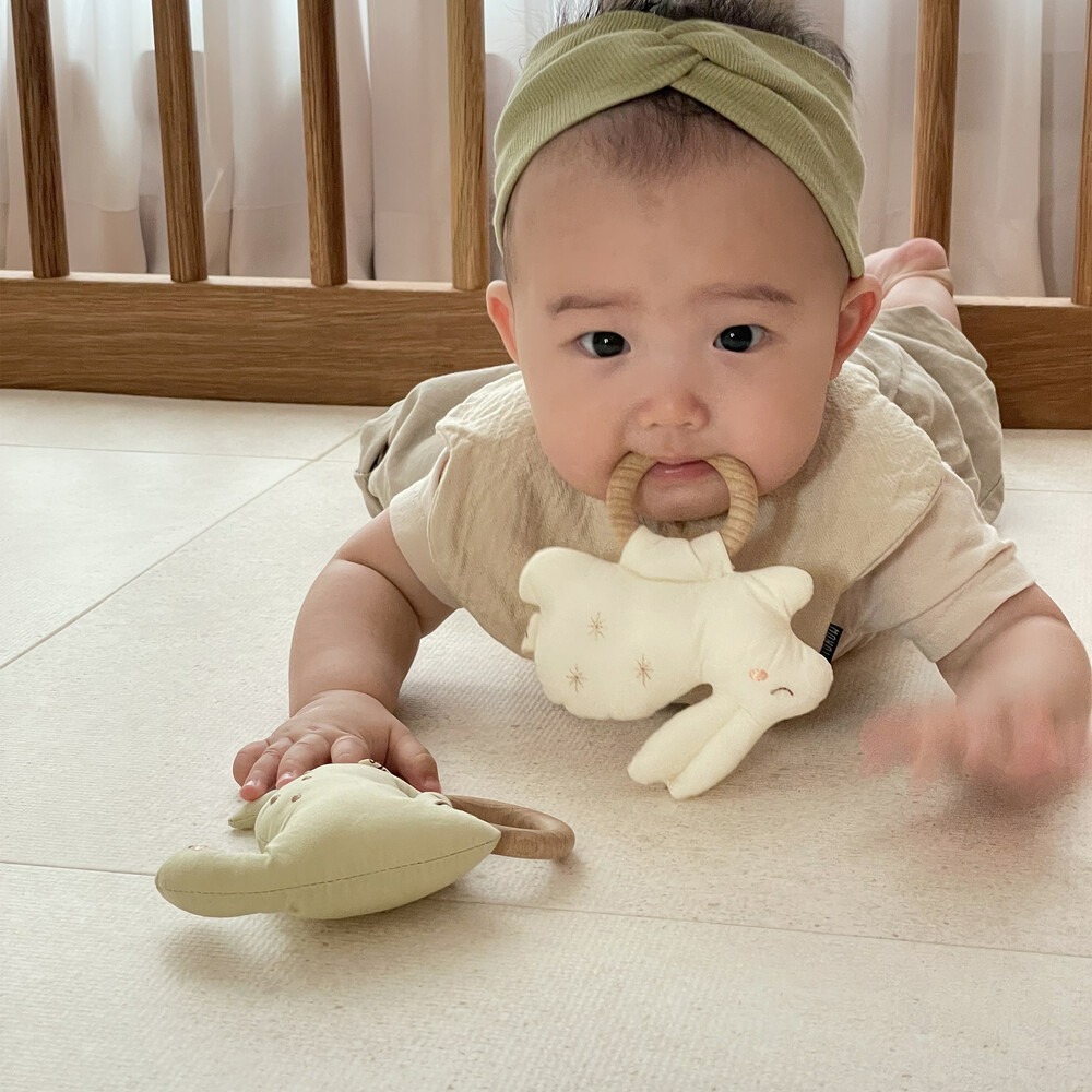 MONOLEIM 恐龍搖鈴 모노레임 Wood Rattle_Dino-細節圖5