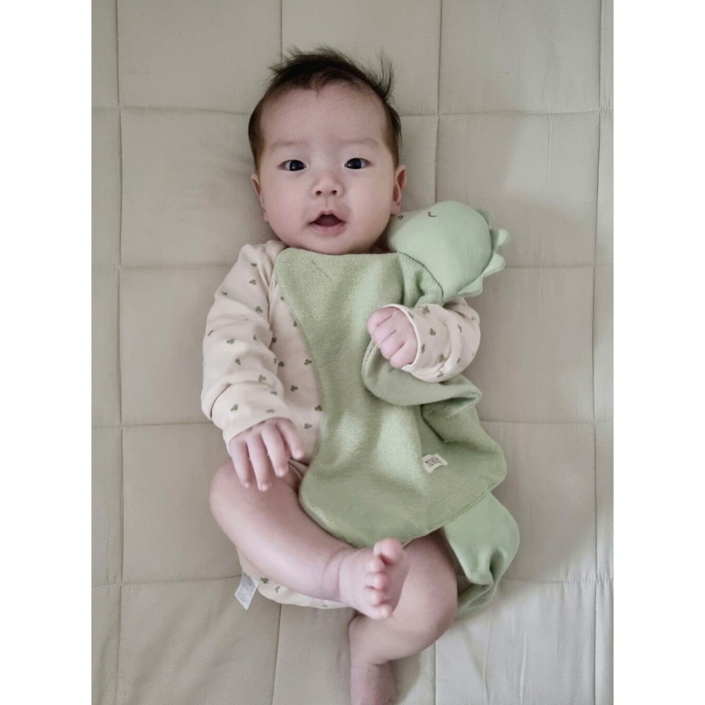 MONOLEIM 安撫巾 恐龍 모노레임 Organic Hug Dino-細節圖4