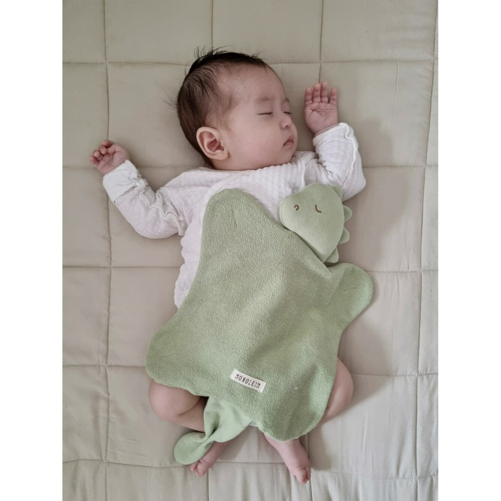 MONOLEIM 安撫巾 恐龍 모노레임 Organic Hug Dino-細節圖5