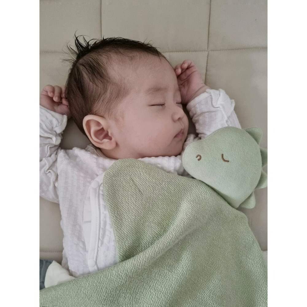 MONOLEIM 安撫巾 恐龍 모노레임 Organic Hug Dino-細節圖8