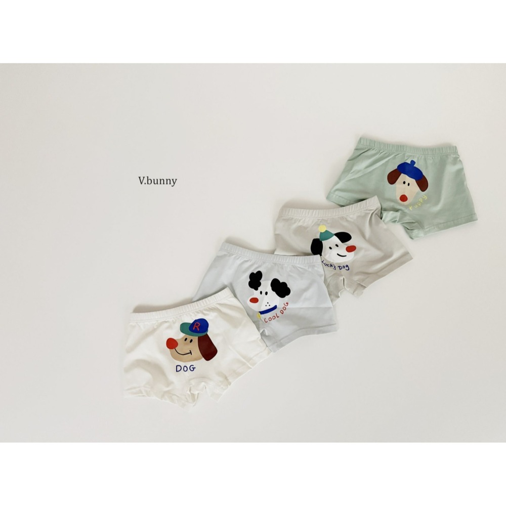 V.bunny 內褲 바닐라버니 페팻팬티-細節圖4