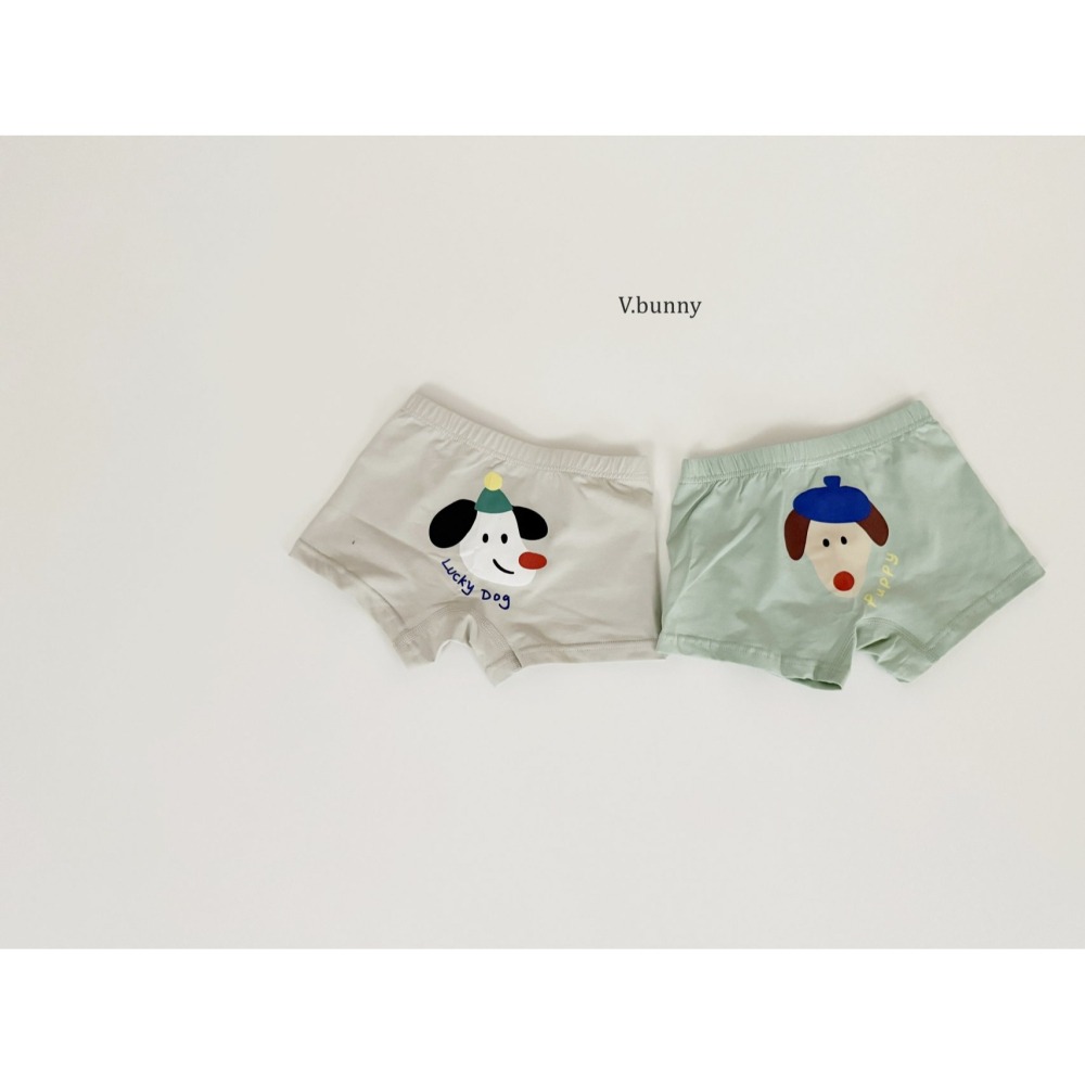 V.bunny 內褲 바닐라버니 페팻팬티-細節圖6
