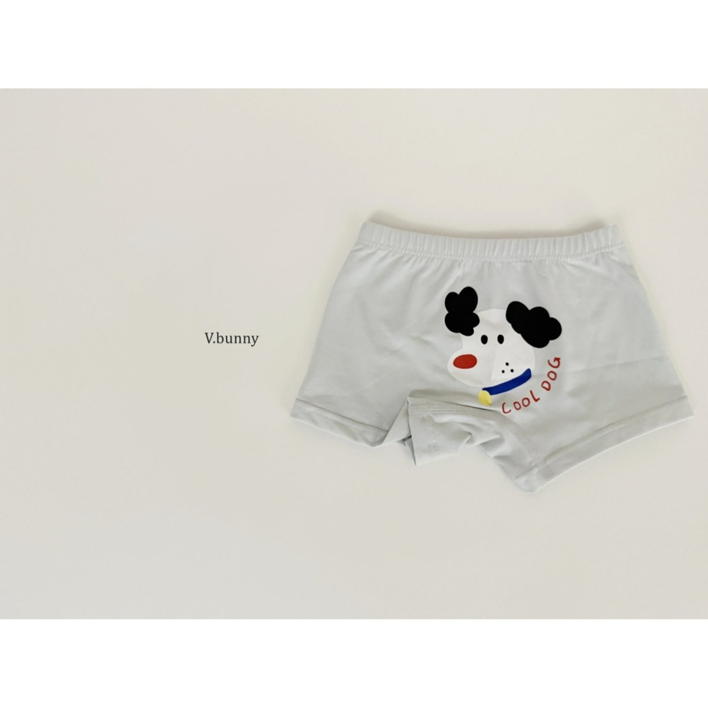 V.bunny 內褲 바닐라버니 페팻팬티-細節圖9