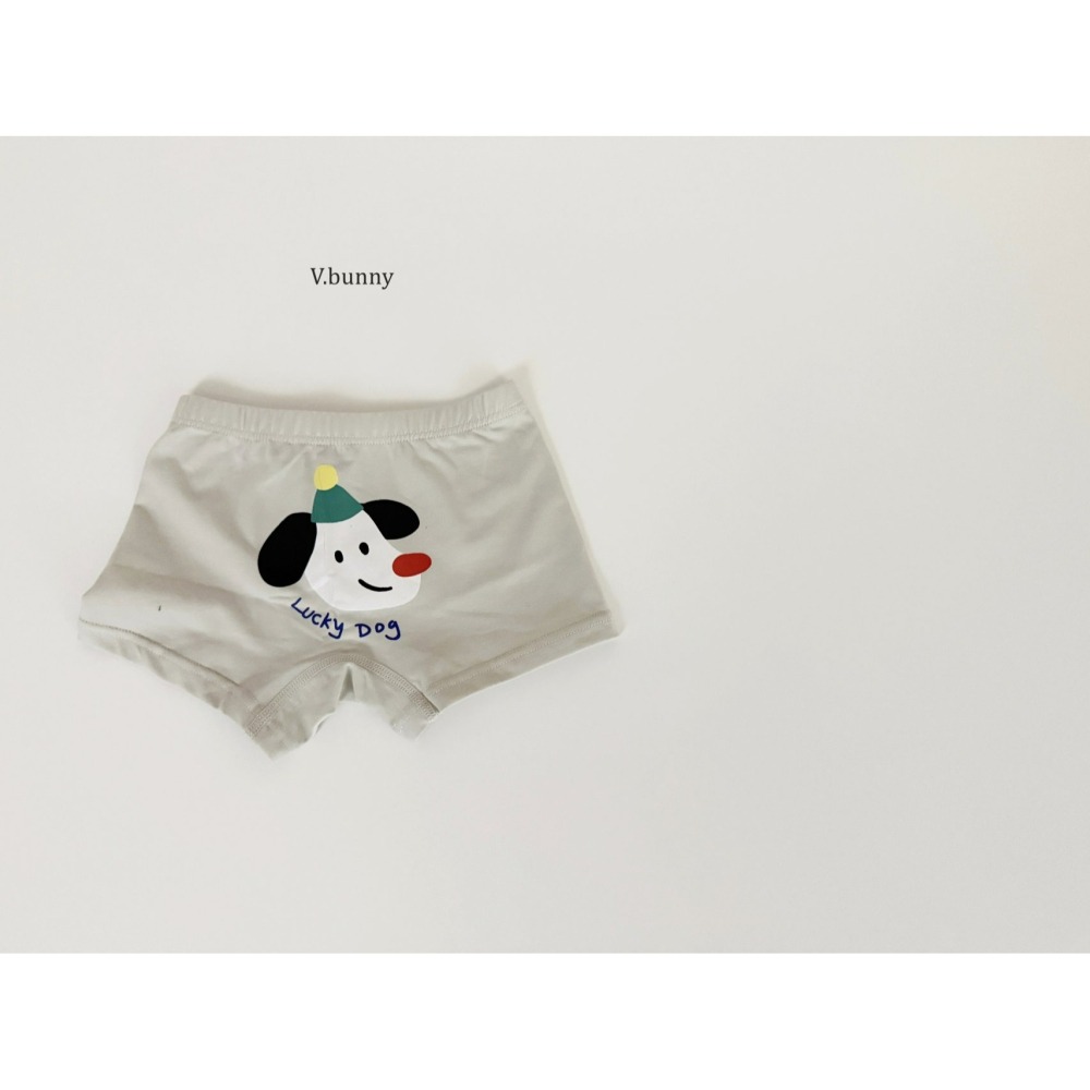 V.bunny 內褲 바닐라버니 페팻팬티-細節圖10